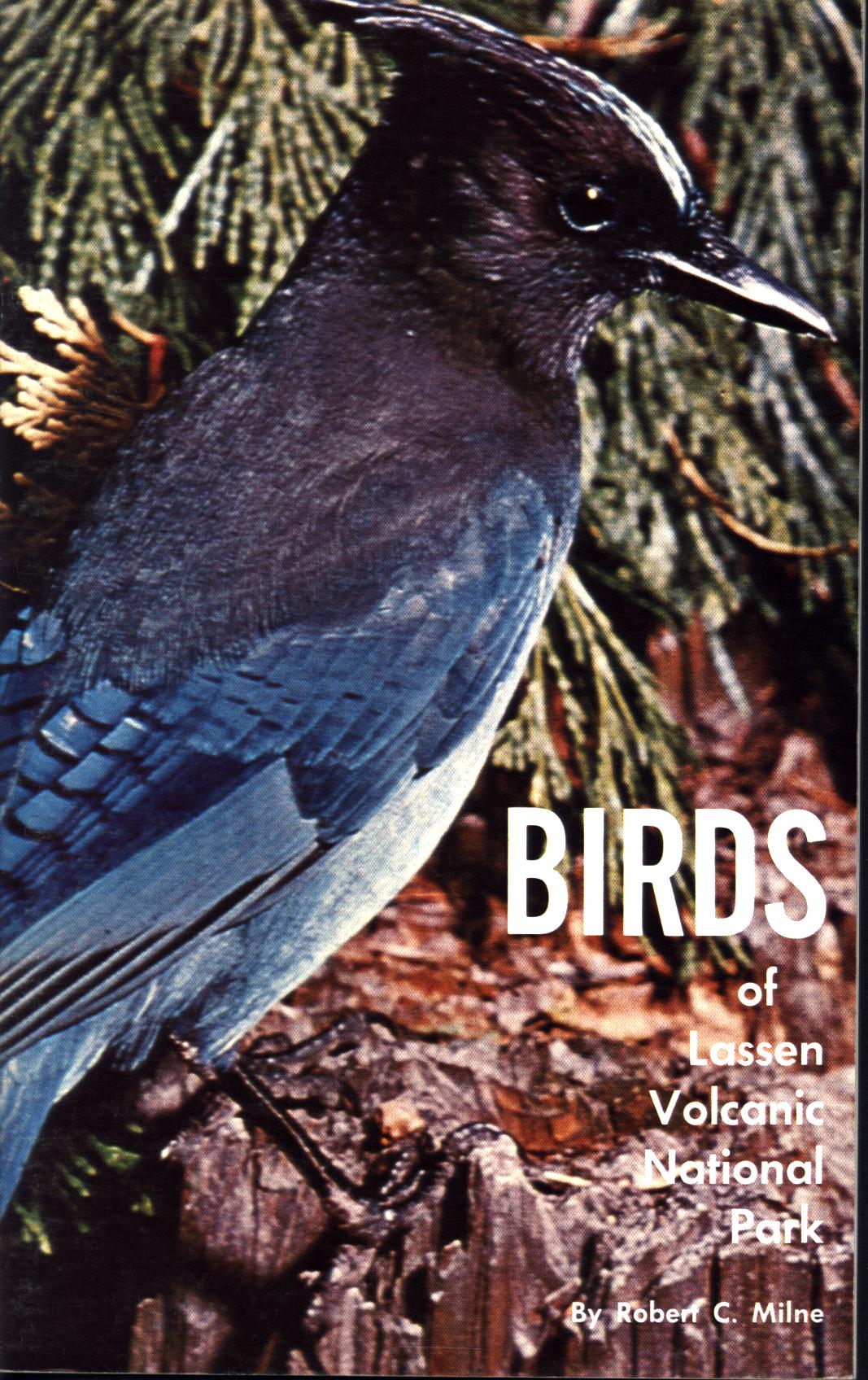 BIRDS OF LASSEN VOLCANIC NATIONAL PARK. by Robert C. Milne.